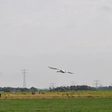 Bed & Breakfast Your Waggon At The Cow's Paradise