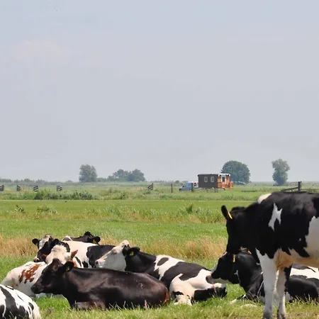 Your Waggon At The Cow's Paradise Bed & Breakfast