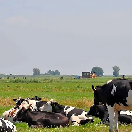 Your Waggon At The Cow's Paradise Bed & Breakfast
