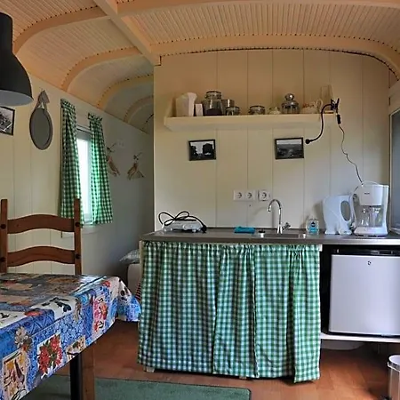 Your Waggon At The Cow's Paradise