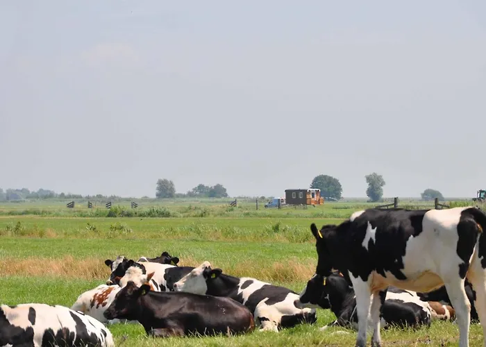 Your Waggon At The Cow's Paradise Отель типа 